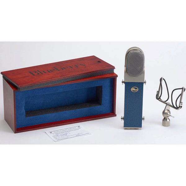 Blue Blueberry Studio Condenser Microphone | Music Experience