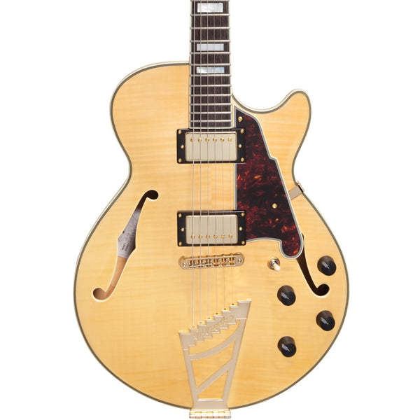 D'Angelico Excel SS Hollowbody Natural Tint | Music Experience | Shop Online | South Africa