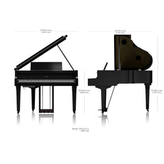Roland GP-9M Digital Grand Piano Polished Ebony | Music Experience | Shop Online | South Africa