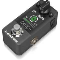 TC Electronic Ditto+ Looper | Music Experience | Shop Online | South Africa