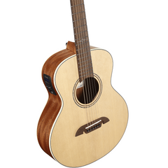 Alvarez ALJ2E Artist Little Jumbo Natural