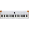 Arturia AstroLab 88 Avant-Garde Stage Keyboard | Music Experience | Shop Online | South Africa