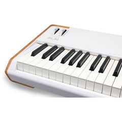 Arturia AstroLab 88 Avant-Garde Stage Keyboard | Music Experience | Shop Online | South Africa