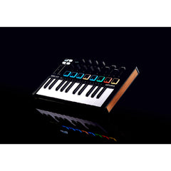 Arturia MiniLab 3 Black 25 Slim-key Controller | Music Experience | Shop Online | South Africa