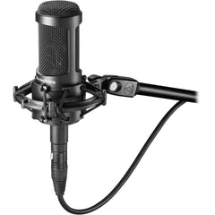 Audio-Technica AT2050 Multi-pattern Large-Diaphragm Condenser Microphone | Music Experience | Shop Online | South Africa