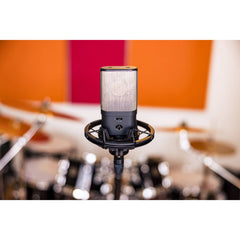 Austrian Audio OC16 Large-diaphragm Condenser Microphone | Music Experience Online | South Africa