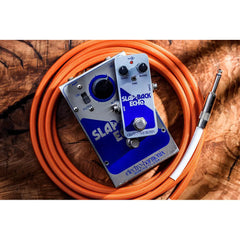 Electro-Harmonix Slap-Back Echo Analog Delay Reissue | Music Experience | Shop Online | South Africa