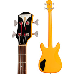 Epiphone Newport Bass California Coral | Music Experience | Shop Online | South Africa