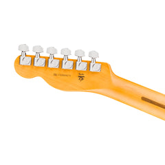 Fender American Professional Telecaster Natural Rosewood | Music Experience | Shop Online | South Africa