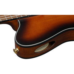 Ibanez FRH10N-BSF FRH Nylon Brown Sunburst Flat | Music Experience | Shop Online | South Africa