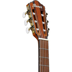 Ibanez FRH10N-BSF FRH Nylon Brown Sunburst Flat | Music Experience | Shop Online | South Africa