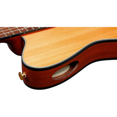 Ibanez FRH10N-NTF FRH Nylon Natural Flat | Music Experience | Shop Online | South Africa