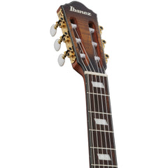 Ibanez FRH20SMN-TCL FRH Nylon Tobacco Burst Low Gloss | Music Experience | Shop Online | South Africa