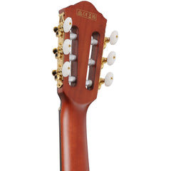 Ibanez FRH20SMN-TCL FRH Nylon Tobacco Burst Low Gloss | Music Experience | Shop Online | South Africa