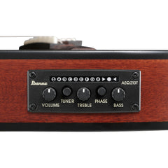 Ibanez FRH20SMN-TCL FRH Nylon Tobacco Burst Low Gloss | Music Experience | Shop Online | South Africa