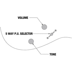 Ibanez GRGR221PA-AQB RG GIO Aqua Burst | Music Experience | Shop Online | South Africa