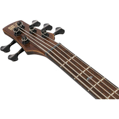 Ibanez SR1325SB-IVF SR Premium Icebreaker Wave Flat | Music Experience | Shop Online | South Africa