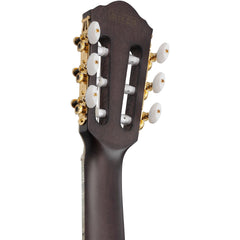 Ibanez TOD10NL-TKF Tim Henson Polyphia Signature Left-Handed Nylon Transparent Black Flat | Music Experience | Shop Online | South Africa