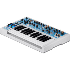 Novation Bass Station II Analog Synthesizer Swifty Edition | Music Experience | Shop Online | South Africa