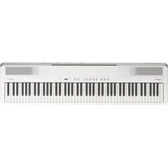 Roland FP-40 Digital Stage Piano White | Music Experience | Shop Online | South Africa