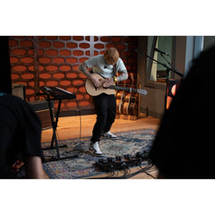 Sheeran Loopers Looper + Compact Dual-Track Looper