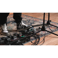 Sheeran Loopers Looper + Compact Dual-Track Looper