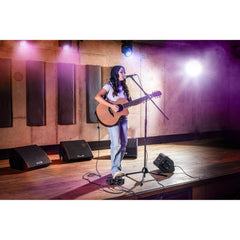 Sheeran Loopers Looper + Compact Dual-Track Looper