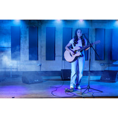 Sheeran Loopers Looper + Compact Dual-Track Looper