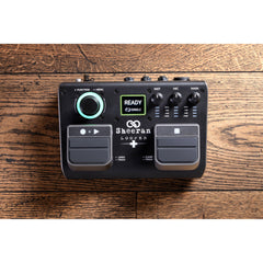 Sheeran Loopers Looper + Compact Dual-Track Looper