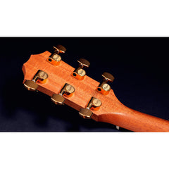 Taylor 50th Anniversary 217e-SB Plus LTD Grand Pacific Tobacco Burst | Music Experience | Shop Online | South Africa