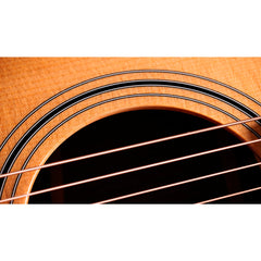 Taylor 414ce Studio Grand Auditorium Natural | Music Experience | Shop Online | South Africa