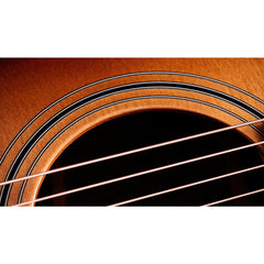 Taylor 414ce Studio Grand Auditorium Shaded Edge Burst | Music Experience | Shop Online | South Africa