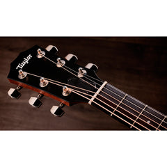Taylor 414ce Studio Grand Auditorium Shaded Edge Burst | Music Experience | Shop Online | South Africa