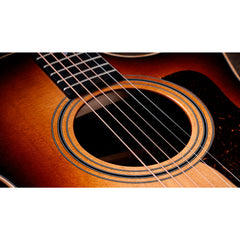 Taylor 414ce Studio Grand Auditorium Shaded Edge Burst | Music Experience | Shop Online | South Africa