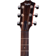 Taylor AD17E Limited Edition American Dream Redtop | Music Experience | Shop Online | South Africa