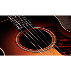 Taylor GS Mini-e Rosewood SB Sunburst | Music Experience | Shop Online | South Africa