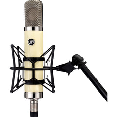 Warm Audio WA-251 Large-diaphragm Tube Condenser Microphone | Music Experience | Shop Online | South Africa