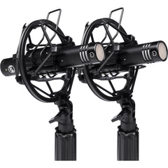 Warm Audio WA-84 Small-diaphragm Condenser Microphone Stereo Pair Black | Music Experience | Shop Online | South Africa