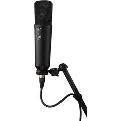 Warm Audio WA-87 R2 Studio Vocal Microphone Black | Music Experience | Shop Online | South Africa