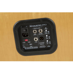 Fender Acoustic Pro 200-watt 1x12