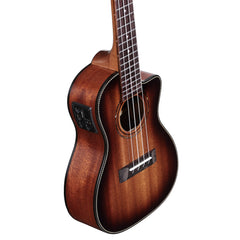 Alvarez AU66CCESHB Concert Ukulele with Pickup | Music Experience | Shop Online | South Africa