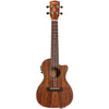 Alvarez AU90CCE Artist Series Concert Electric Ukulele | Music Experience | Shop Online | South Africa