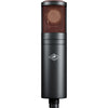 Antelope Audio Edge Duo Condenser Microphone | Music Experience | Shop Online | South Africa