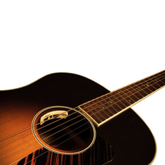 LR Baggs Anthem Tru-Mic Acoustic Microphone/Piezo Pickup System