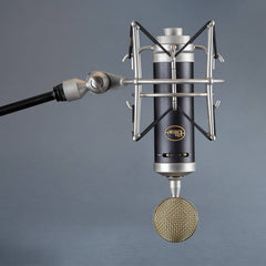 Blue Baby Bottle SL Studio Condenser Microphone | Music Experience | Shop Online | South Africa