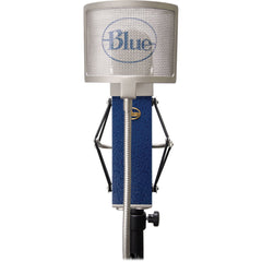 Blue Blueberry Studio Condenser Microphone | Music Experience | Shop Online | South Africa