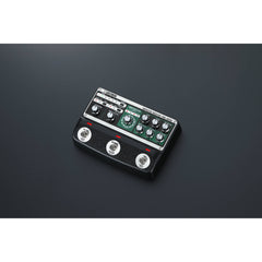 Boss RE-202 Space Echo Digital Delay | Music Experience | Shop Online | South Africa