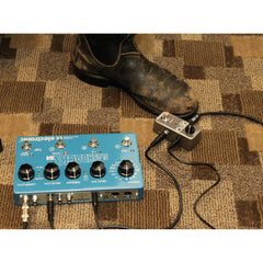 TC Electronic Ditto Looper Pedal | Music Experience | Shop Online | South Africa