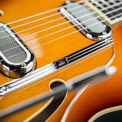 Duesenberg Gran Majesto Vintage Burst | Music Experience | Shop Online | South Africa