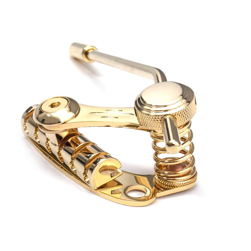 Duesenberg Les Trem II Gold | Music Experience Online | South Africa